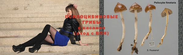 винт Абдулино