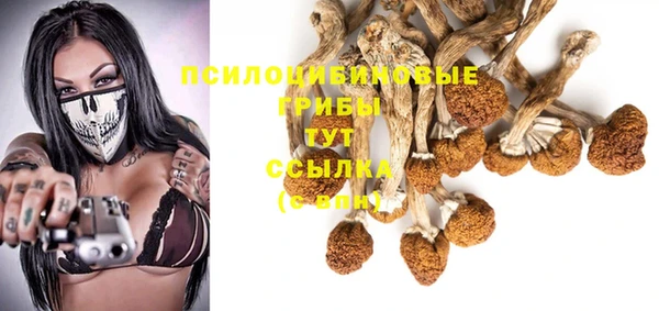 мяу мяу мука Арсеньев