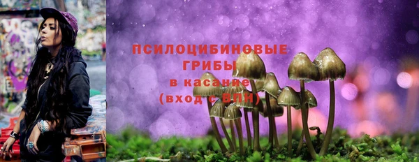 бошки Алзамай