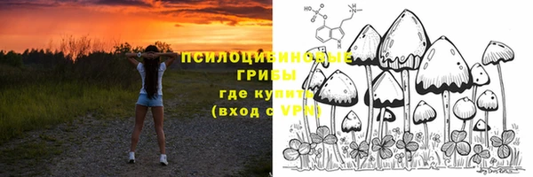 гашик Армянск
